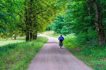 A cyclist in the Thuringian Forest in Germany