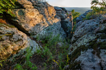 Rocky canyon meets the forested valley below