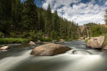 Tuinposter South Platte river winding through Eleven Mile Canyon. © Brian