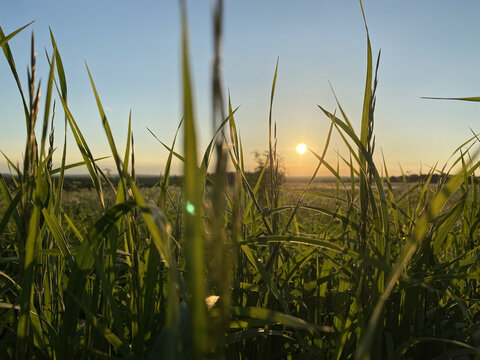 summer evining

