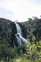 waterfall in the forest