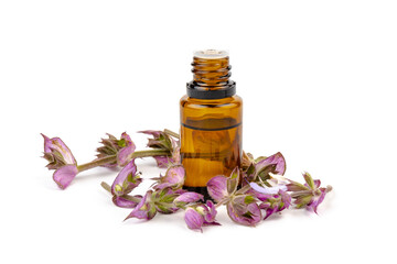 A bottle of essential oil with fresh blooming clary sage twigs on white background.