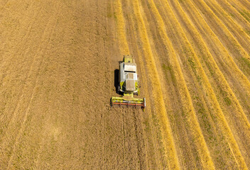 Fototapeta na wymiar Landscape with a combine harvesting wheat in the field