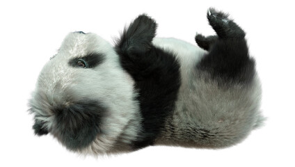 3D Rendering Panda Bear on White © photosvac