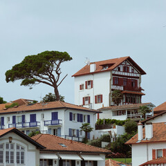 Fototapeta na wymiar houses in the city basque - France 