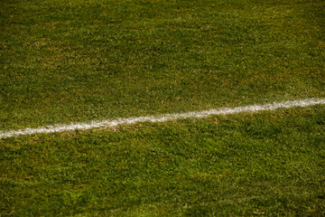 Fototapeta Biała linia na boisku piłkarskim obraz