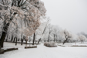Park zimą. Ośnieżone alejki i drzewa