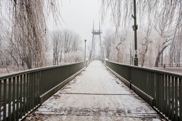 Park zimą. Ośnieżony most, alejka i drzewa © Katarzyna