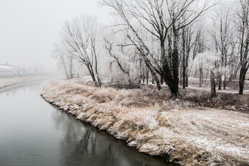 Odra river with forest covering the banks in winter and snow covered rocks in Poland