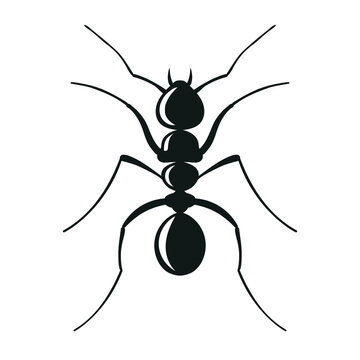 Ant silhouette vector style isolated on white background. 10 eps