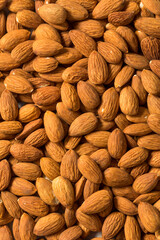 Raw Organic Brown Almonds