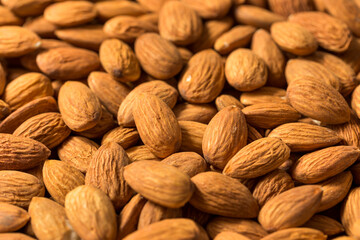 Raw Organic Brown Almonds