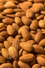 Raw Organic Brown Almonds