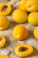 Naklejka na ściany i meble Healthy Organic White Apricot Angelcots