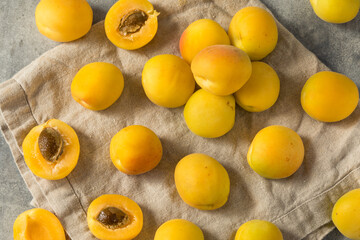 Healthy Organic White Apricot Angelcots