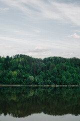 Green mixed forest by the lake in the reflection of the water. Calm natural landscape