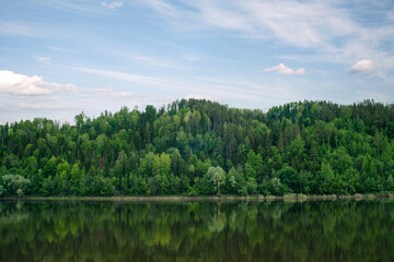 Fototapeta na wymiar Green mixed forest by the lake in the reflection of the water. Calm natural landscape