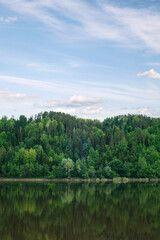 Obraz premium Green mixed forest by the lake in the reflection of the water. Calm natural landscape
