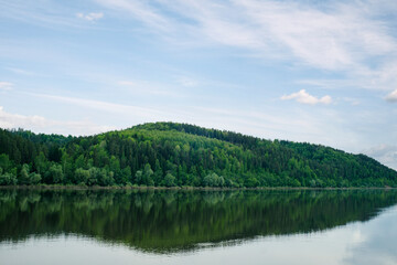Green mixed forest by the lake in the reflection of the water. Calm natural landscape