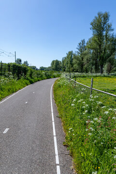 A neatly 2 lane asphalted cycle path along the meadows Sassenheim on a sunny day in the Netherlands.