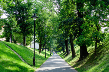 Long alley and green trees in the Citadel Park (Parcul Cetatii), in the historical center of the Sibiu city, in Transylvania (Transilvania) region of Romania, in a sunny summer day.