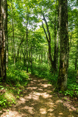 North Carolina Hiking Trails