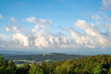 Forest areas in Germany photographed in the spring month of May