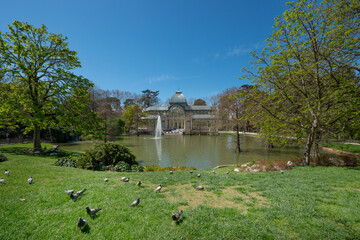 Fototapeta na wymiar Landscape of the Parque del Retiro lake with Crystal Palace and trees, pigeons on the grass and blue skies