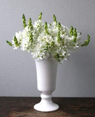 オーニソガラム