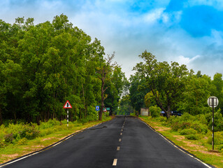 Naklejka premium A sublime road with canopy of tree cover. Selective Focus is used.