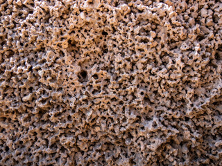 Eroded sandstone with holes beside the sea