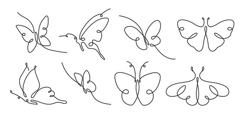 Buterfly Lineart Drawing. Vector hand drawn illustration. Single continuous Line for logo or icon. Insects set for icon or logo