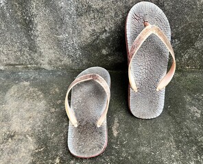 pair of flip flops