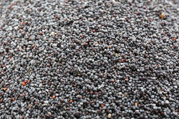 Dry poppy seeds as background, closeup view