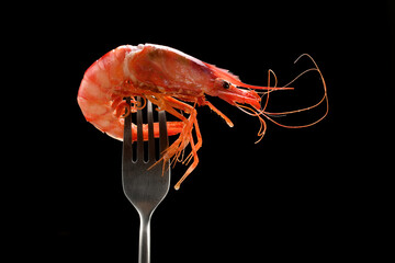 cooked red shrimp on fork isolated on black background