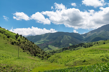 Fototapeta premium Mountain landscape on a sunny summer day. Blue sky and green mountains.