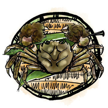 上海蟹images Browse 76 Stock Photos Vectors And Video Adobe Stock