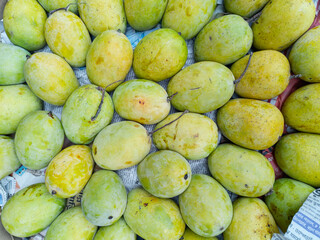 Display of ripe yellow coloured Indian mangoes (Langra variety, a popular mango cultivar available in northern India and Bihar during summer) at a roadside fruit stall in Kolkata, during summer. 