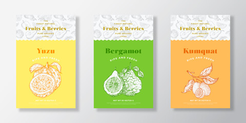 Fruits and Berries Pattern Label Templates Set. Vector Packaging Design Layout Collection. Modern Typography Banner with Hand Drawn Yuzu, Bergamot and Kumquat Sketches Background Isolated
