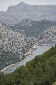 Vertical aerial view of the Gorg Blau reservoir in Mallorca surrounded by green mountains