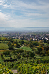 Fototapeta na wymiar View of German village of Halting and city of Basel, Switzerland in distance