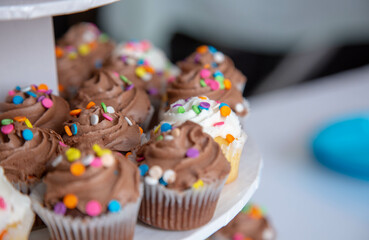 cupcakes with sprinkles