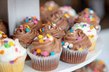 Chocolate cupcakes with sprinkles
