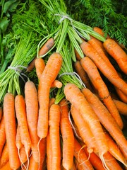 fresh carrots on a market