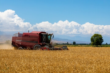Combine Harvester Harvesting Wheat In Agricultural Field