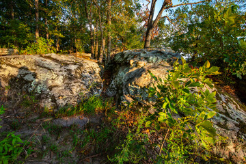 rocky woodland outcrop atop a mountain