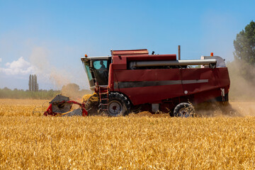 Obraz premium Combine Harvester Harvesting Wheat In Agricultural Field