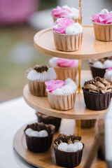 many cup cake on wood shelf in wedding ceremony and birthday party.concept for food and desert in party