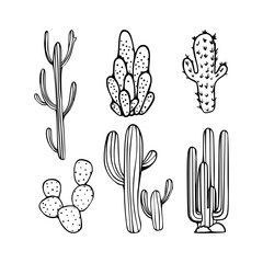 Mexican cactus set. Desert spiny plant, cacti flower and tropical home plants or garden cactuses and succulent. Flora isolated vector icons collection. Illustration in line art style. © Olexandra Simkina