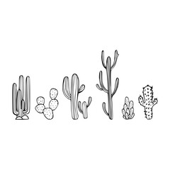 Fototapeta premium Mexican cactus set. Desert spiny plant, cacti flower and tropical home plants or garden cactuses and succulent. Flora isolated vector icons collection. Illustration in line art style.